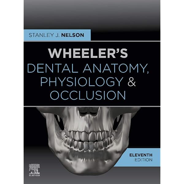 Dental Anatomy and Morphology英語版 Dental Anatomy and Morphology (English Edition) - eBooks em Inglês